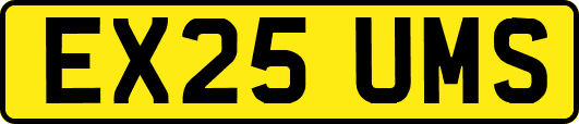 EX25UMS