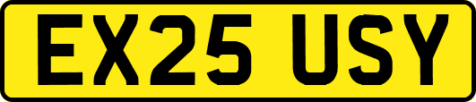 EX25USY