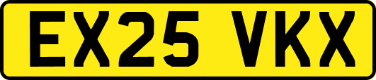 EX25VKX