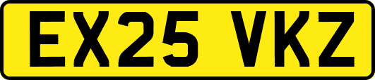 EX25VKZ