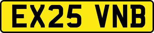 EX25VNB