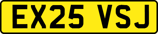 EX25VSJ