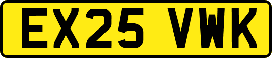 EX25VWK