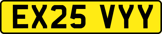 EX25VYY