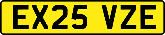 EX25VZE