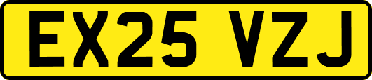 EX25VZJ