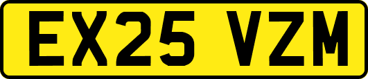 EX25VZM