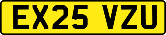 EX25VZU