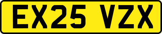 EX25VZX