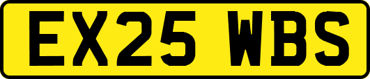 EX25WBS