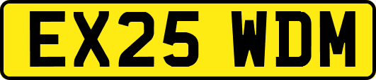 EX25WDM