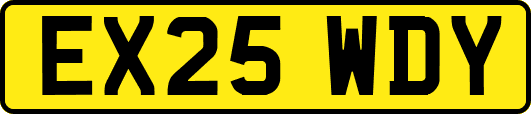 EX25WDY