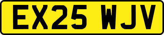 EX25WJV