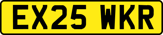 EX25WKR
