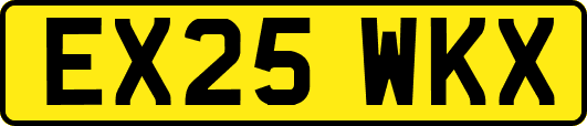 EX25WKX