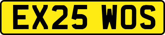 EX25WOS