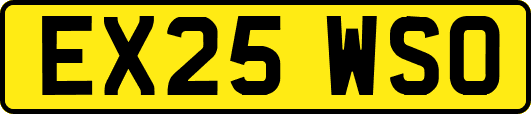 EX25WSO