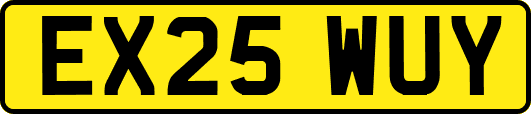 EX25WUY