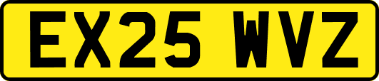 EX25WVZ