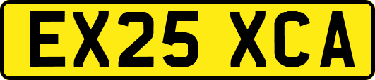 EX25XCA