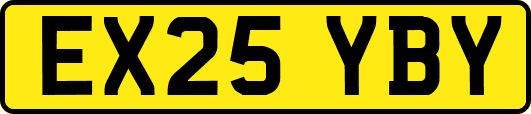 EX25YBY