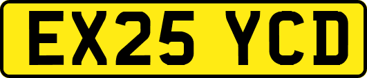 EX25YCD