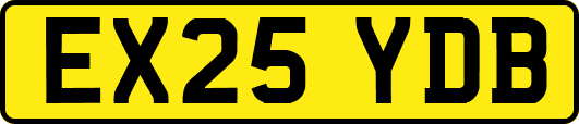 EX25YDB
