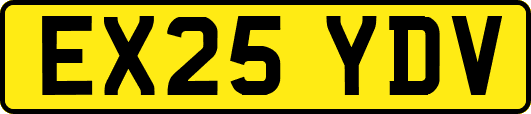 EX25YDV