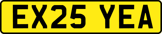 EX25YEA