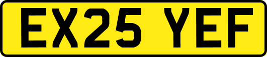 EX25YEF
