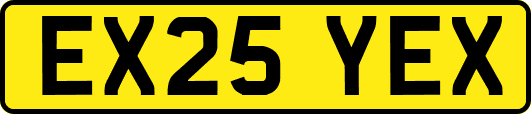 EX25YEX