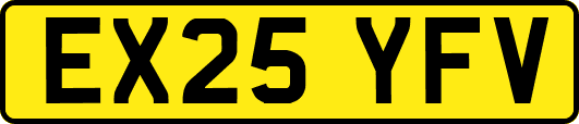 EX25YFV