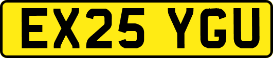 EX25YGU