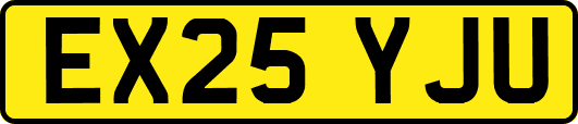 EX25YJU