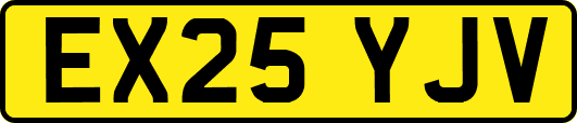 EX25YJV