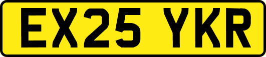 EX25YKR