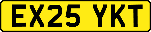 EX25YKT
