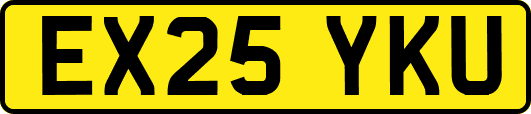 EX25YKU