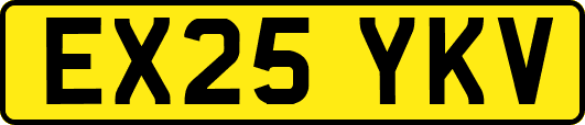 EX25YKV