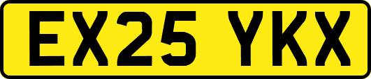 EX25YKX