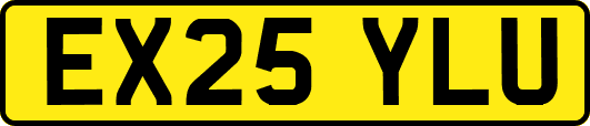 EX25YLU