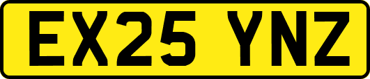 EX25YNZ
