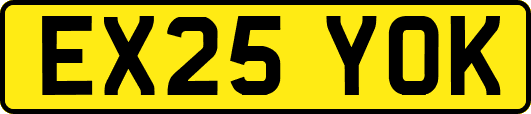 EX25YOK