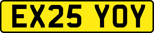 EX25YOY