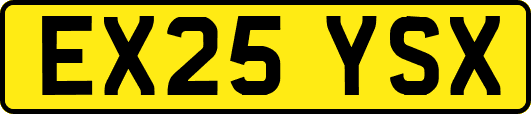 EX25YSX