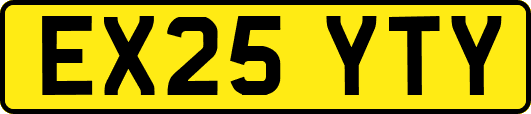EX25YTY