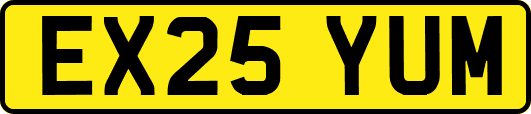 EX25YUM