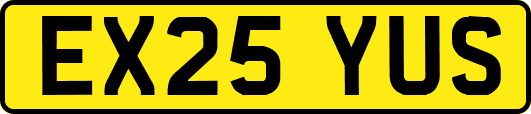 EX25YUS