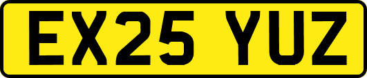 EX25YUZ