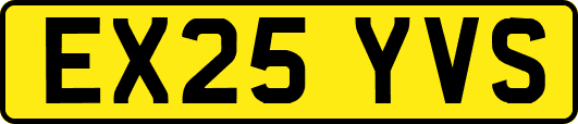 EX25YVS